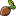 seed